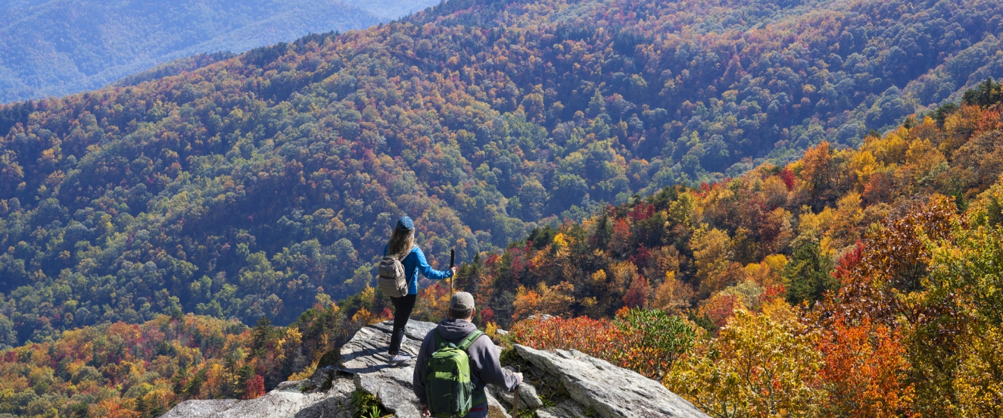 With 50+ offices across the Southeast, experienced guidance is always close by.